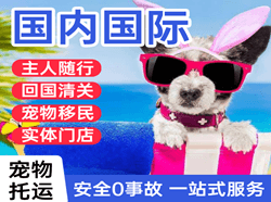 丹霞航空空运国际宠物托运 【国